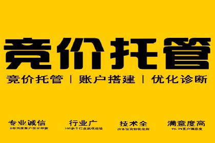某行业巨头如何利用百度推广服务费提升业绩